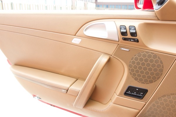 Leather door panel insert, professional close-up